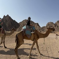 Фото отзыва 1: экскурсия "На квадроциклах в группе: сафари в Шарм-эль-Шейхе"