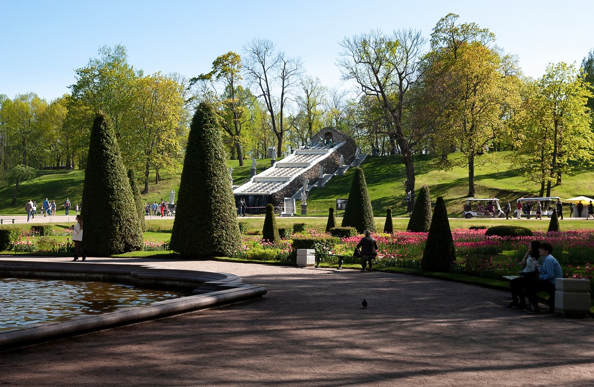 К фонтанам Петергофа в группе (8/15)