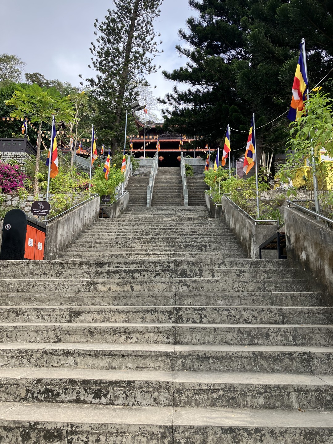 Приятное впечатление произвело и само посещаемое место (на горе Таку были впервые), и гид Александра. Понравилось