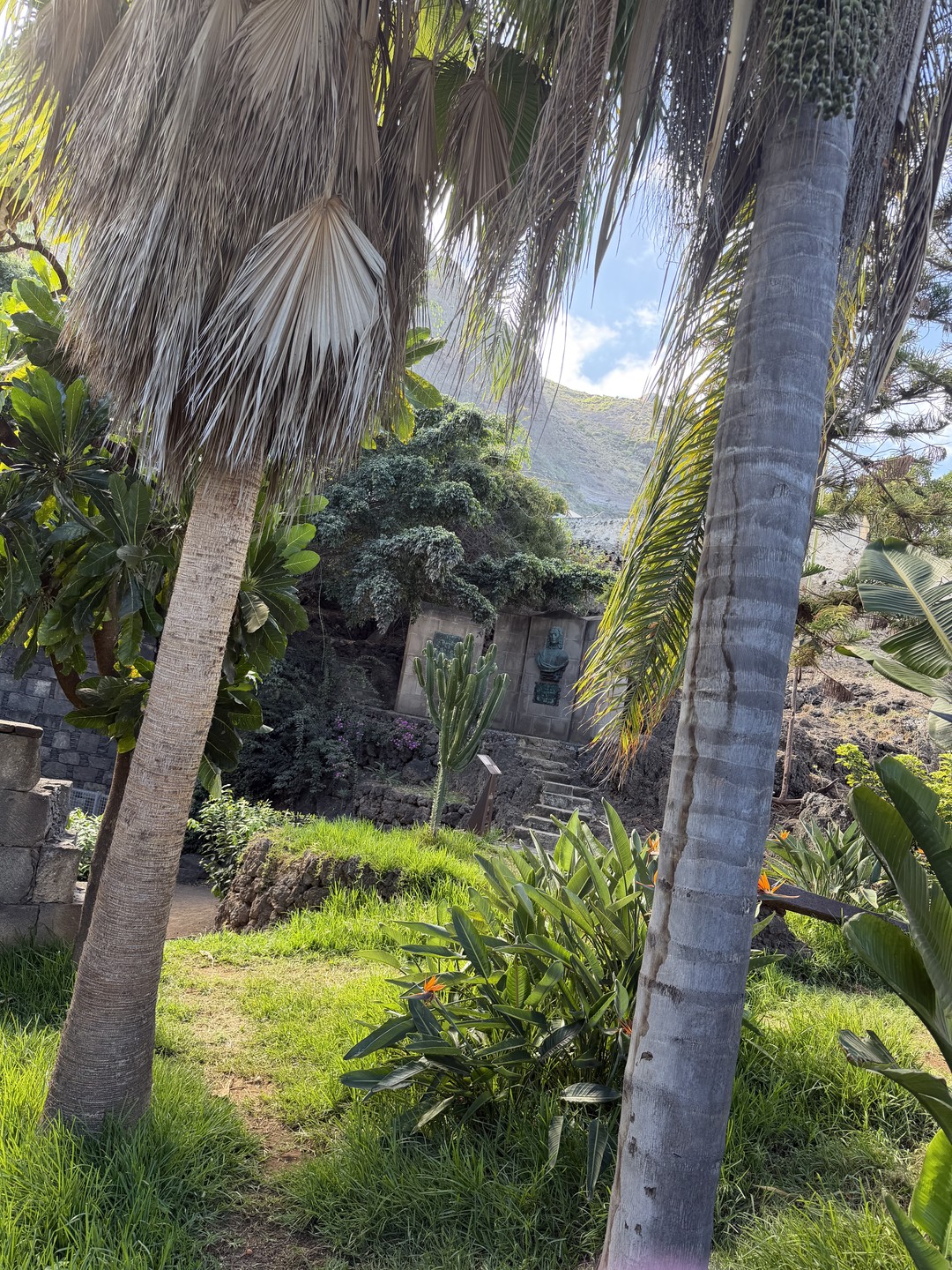 Провели день с Константином на экскурсии по Тенерифе — и это было именно то, чего хотелось