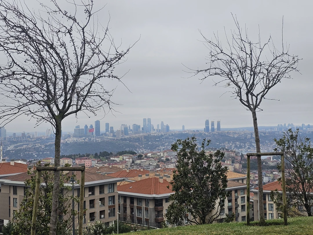 Тур понравился, все в соответствии с описанмем. Сборный тур из туристов разных стран, были англо и