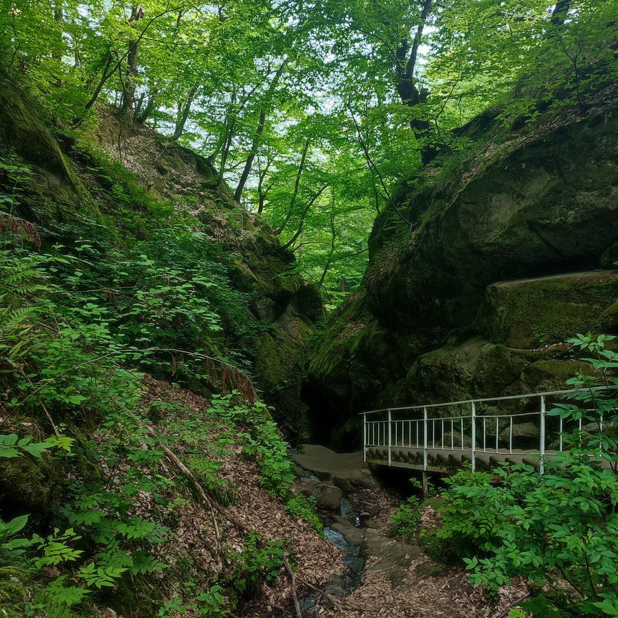 Из Краснодара — в Горячий Ключ