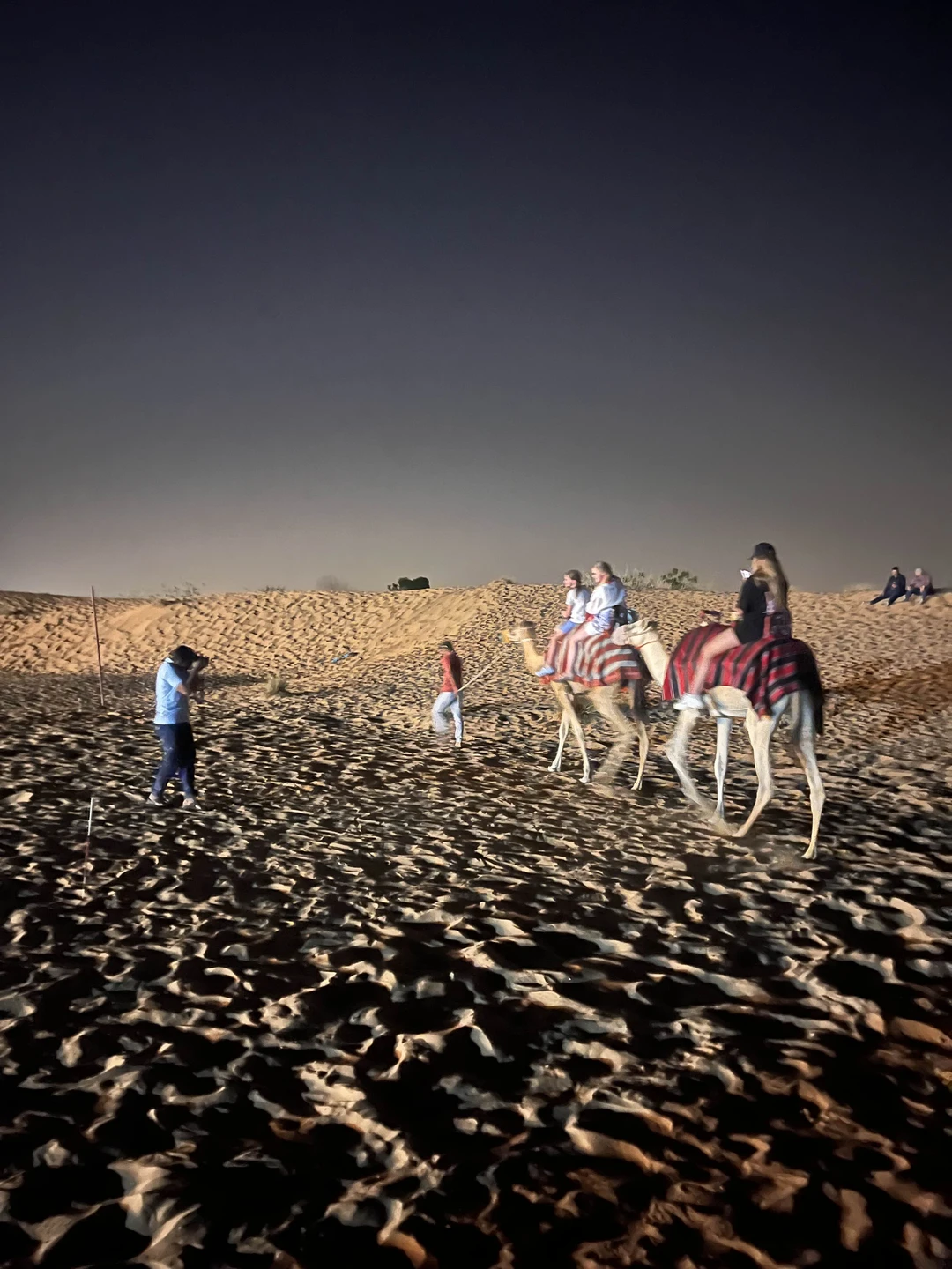 Жене и дочке понравилось. Впервые увидели пустыню и покатались на квадроциклах