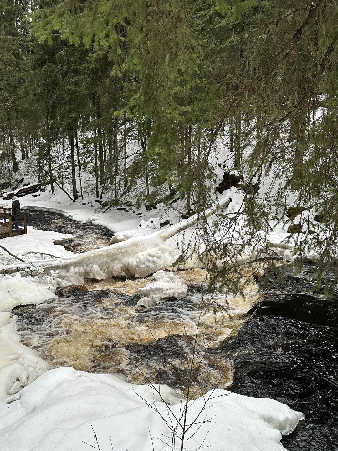 Карелия из Санкт-Петербурга: водопады, Рускеала и тот самый ретропоезд (Надежда)