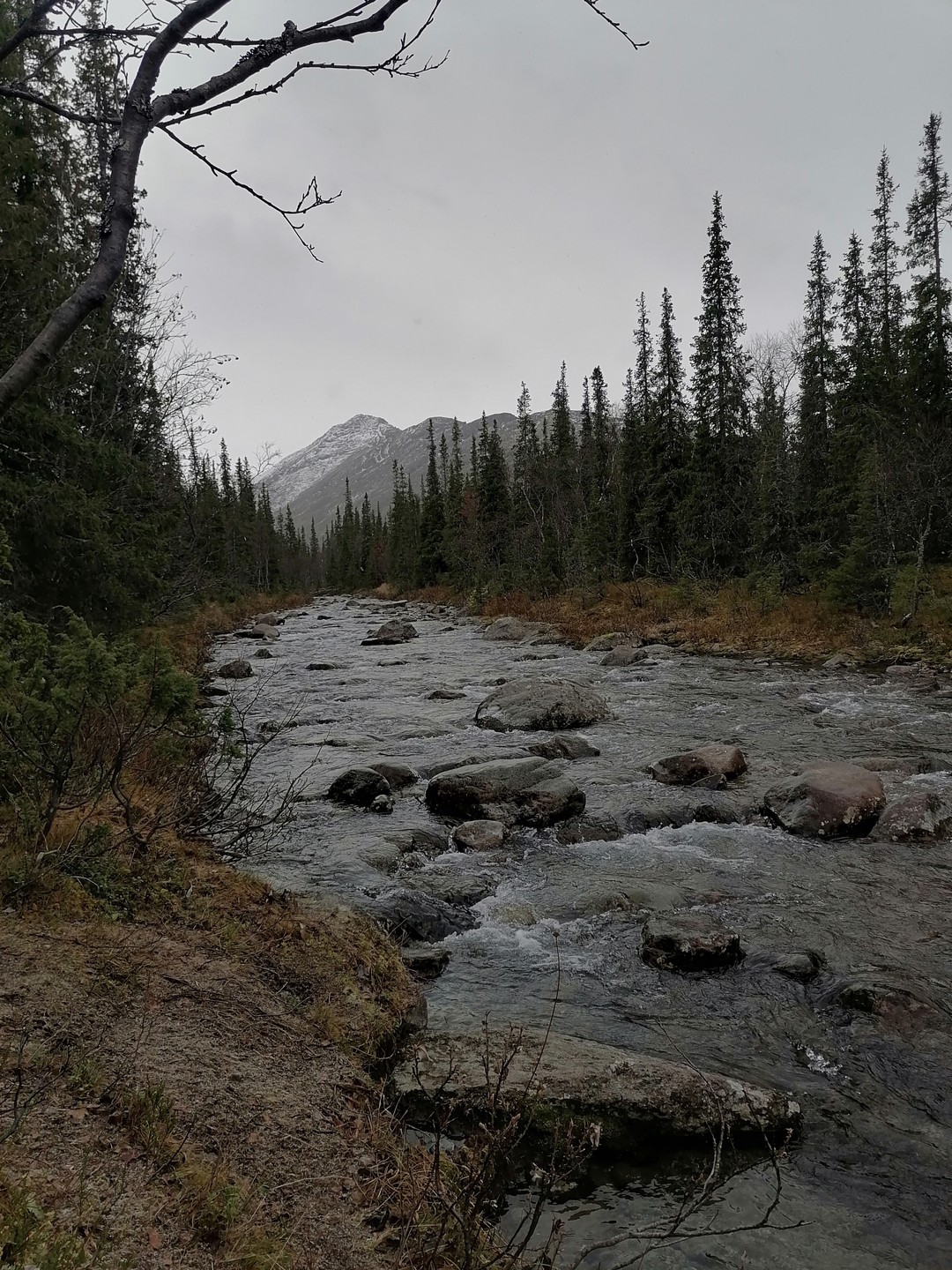 Самая лучшая экскурсия из всех! Очень красивая природа, горы, озера, водопад и ещё много всего. Очень