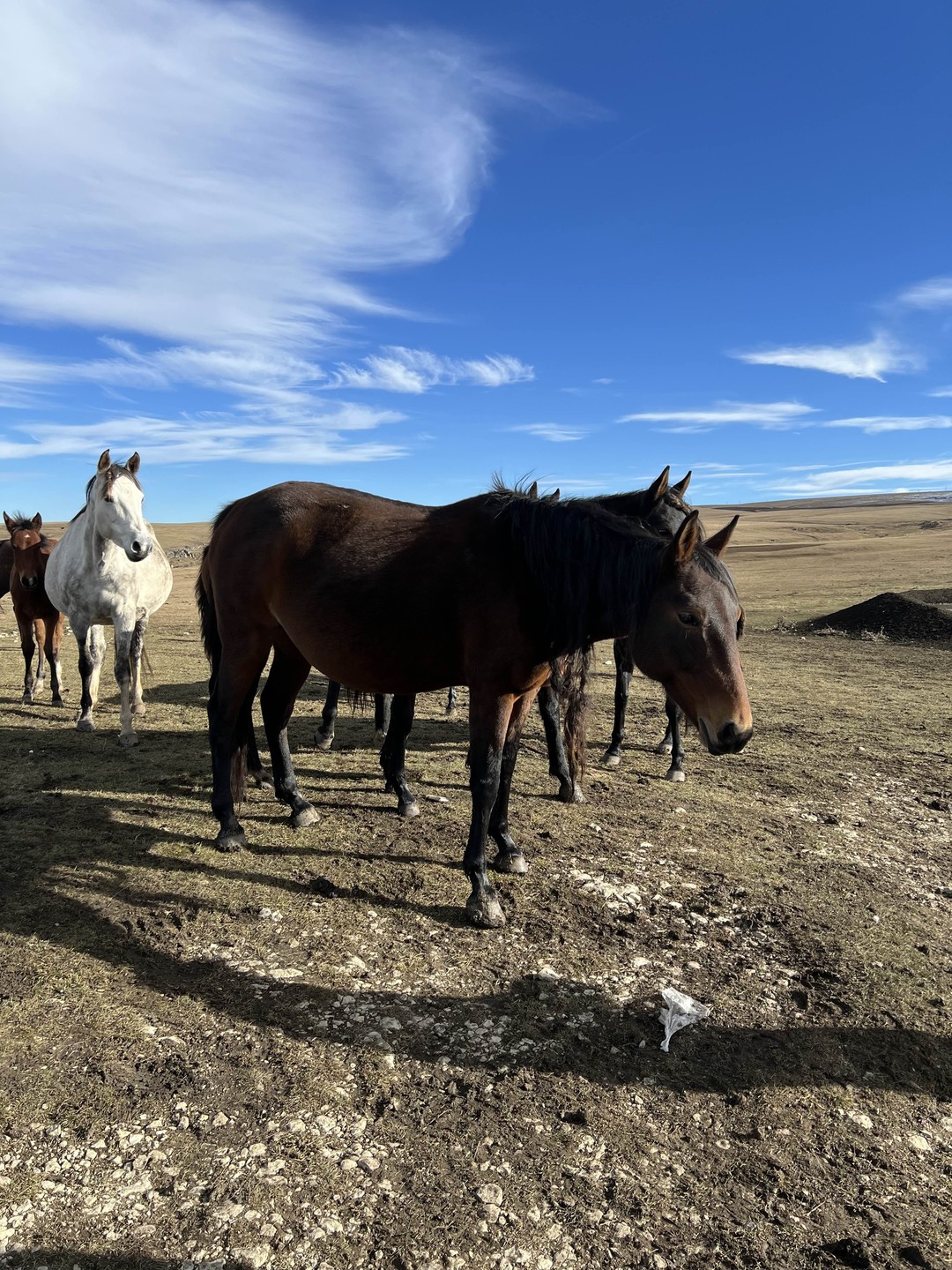 На внедорожнике - к грандиозному плато Бермамыт (Natalia)