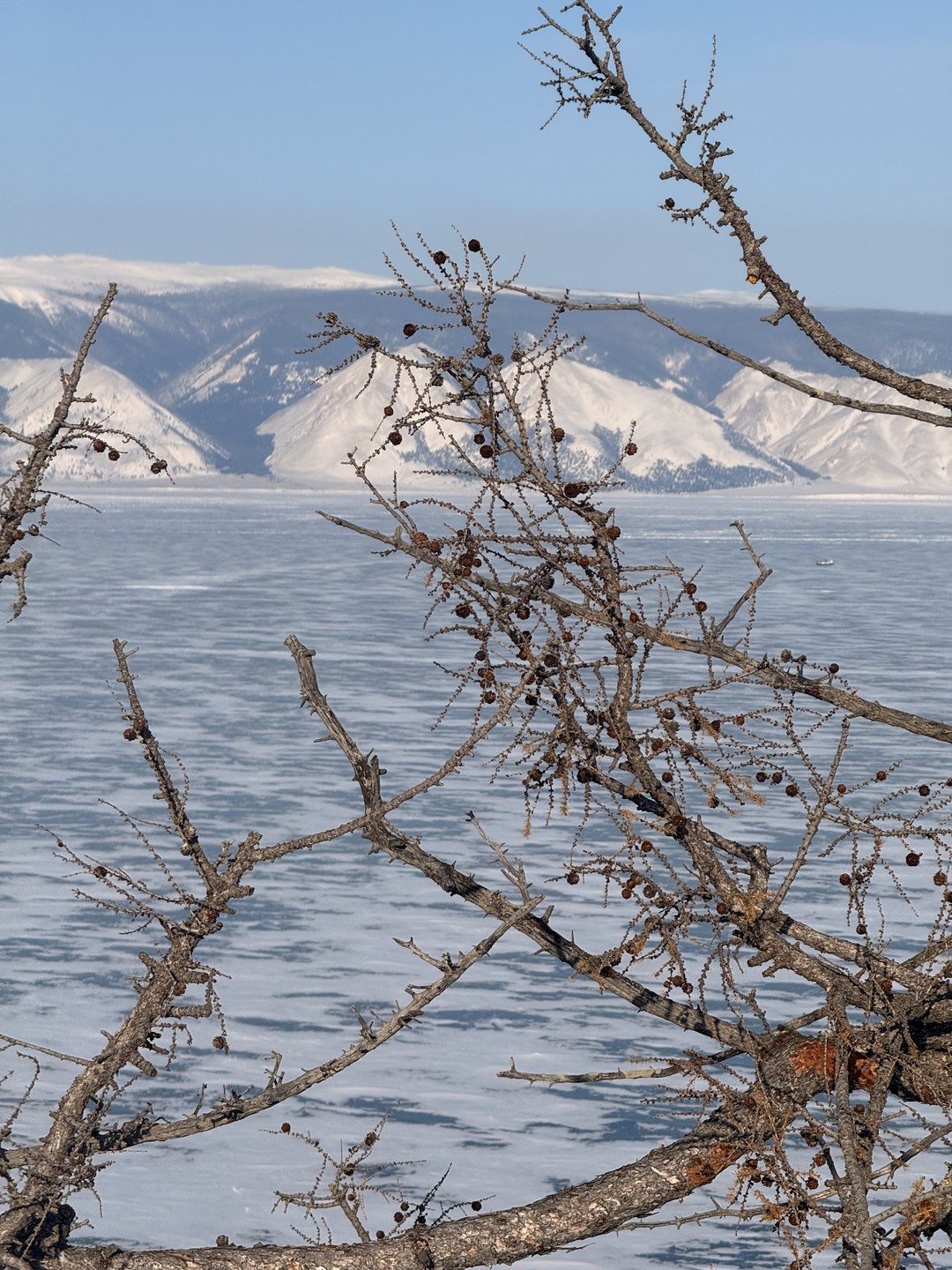 Нам все понравилось. Илья молодец, сварил нам хорошую уху из омуля. Машина теплая, удобная. Все прошло отлично