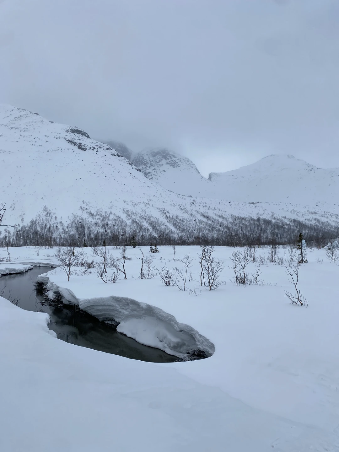Экскурсию до сих пор вспоминаем с теплотой и радостью) Глеб пошёл навстречу нам по поводу удобного