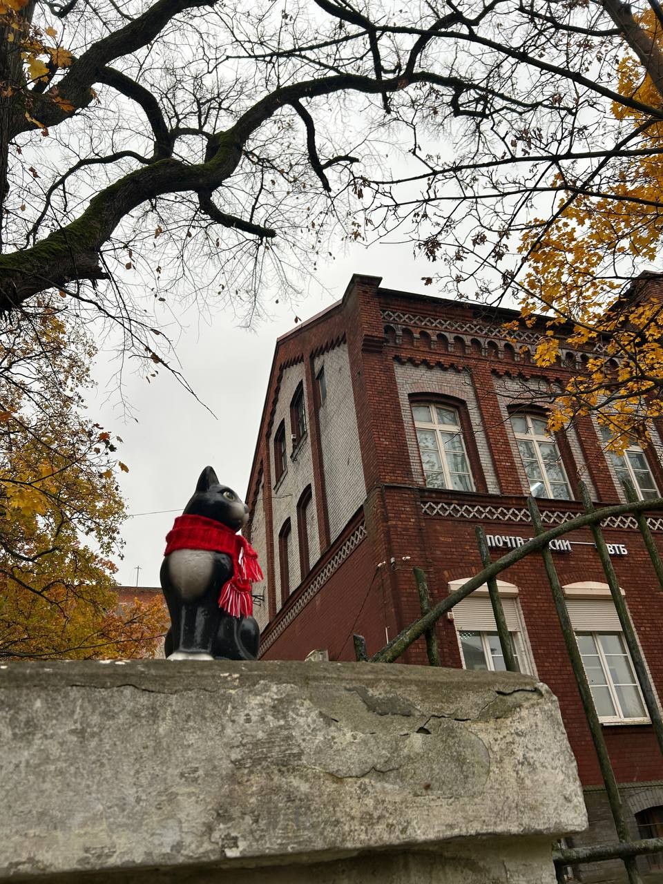 Рыцарские замки Восточной Пруссии (Анжелика)