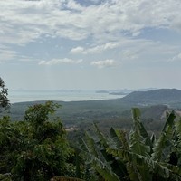 Фото отзыва 2: экскурсия "Сказочный мир Аватара и деревня слонов на Пхукете"