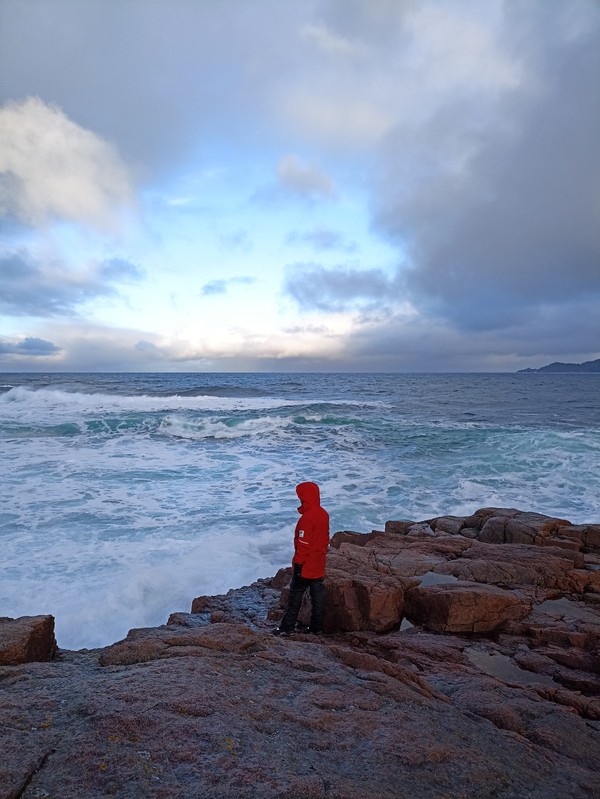 Киты, тюлени и невероятная Териберка