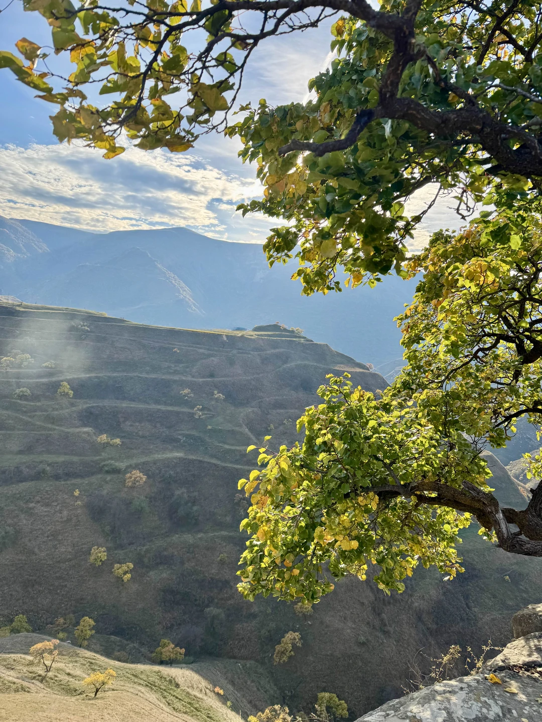 Большое спасибо организаторам за прекрасный тур! Ни минуточки не дали нам скучать,все время было интересно и