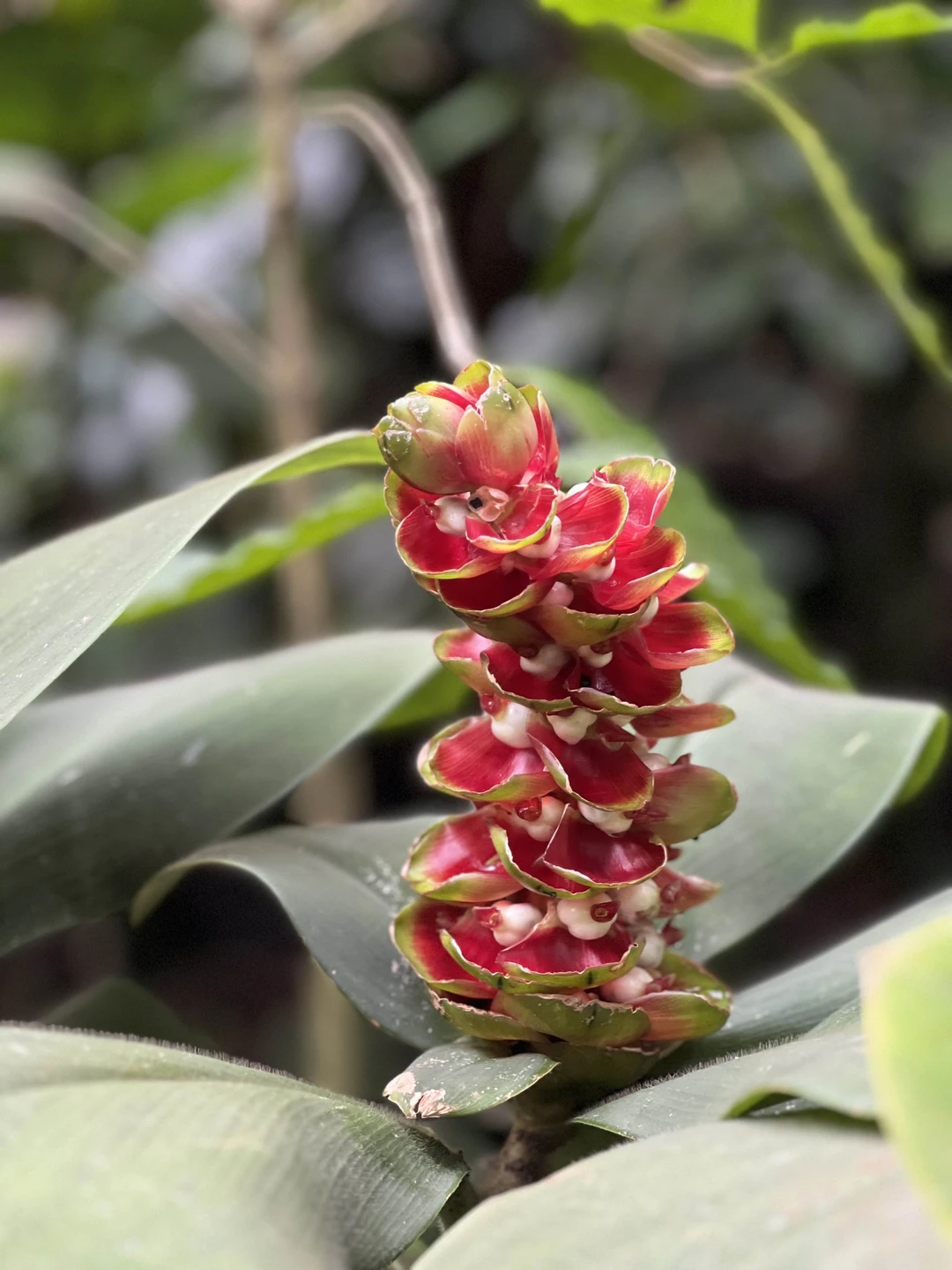 Спасибо Суитри за замечательный день и позитивные эмоции. Второй раз путешествую с ней и водителем Ваяном