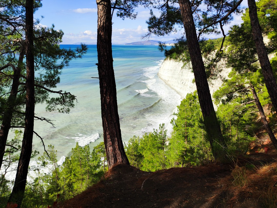 Прекрасно организованная экскурсия, которая сочетает в себе и интеллектуальную составляющую, и прекрасные виды. Все прошло отлично!