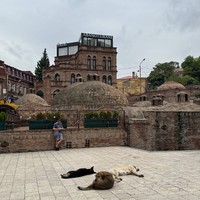 reviews img