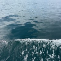 Фото отзыва 3: экскурсия "Киты, тюлени и невероятная Териберка"