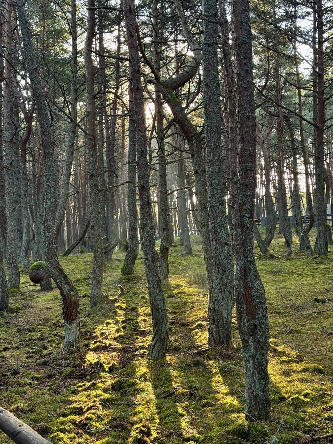 Это пожалуй лучшая экскурсия за последние пол года. Материал интересный, экскурсовод знает материал, умеет заинтересовать, знает