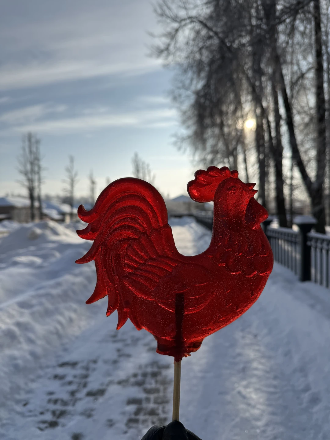 Суздаль и Кидекша на автомобиле - полное погружение в наследие ЮНЕСКО (Мария)