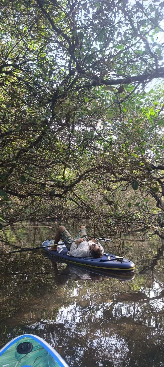 Прекрасный сап тур по мангровым зарослям, почти что на рассвете! Максим очень подготовленный гид со знанием