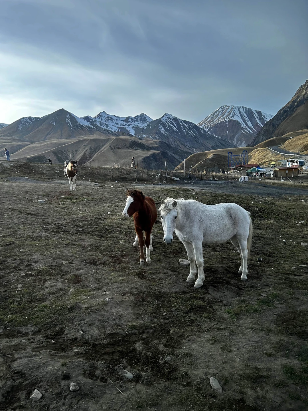 Из Тбилиси в Казбеги на микроавтобусе (Ксения)