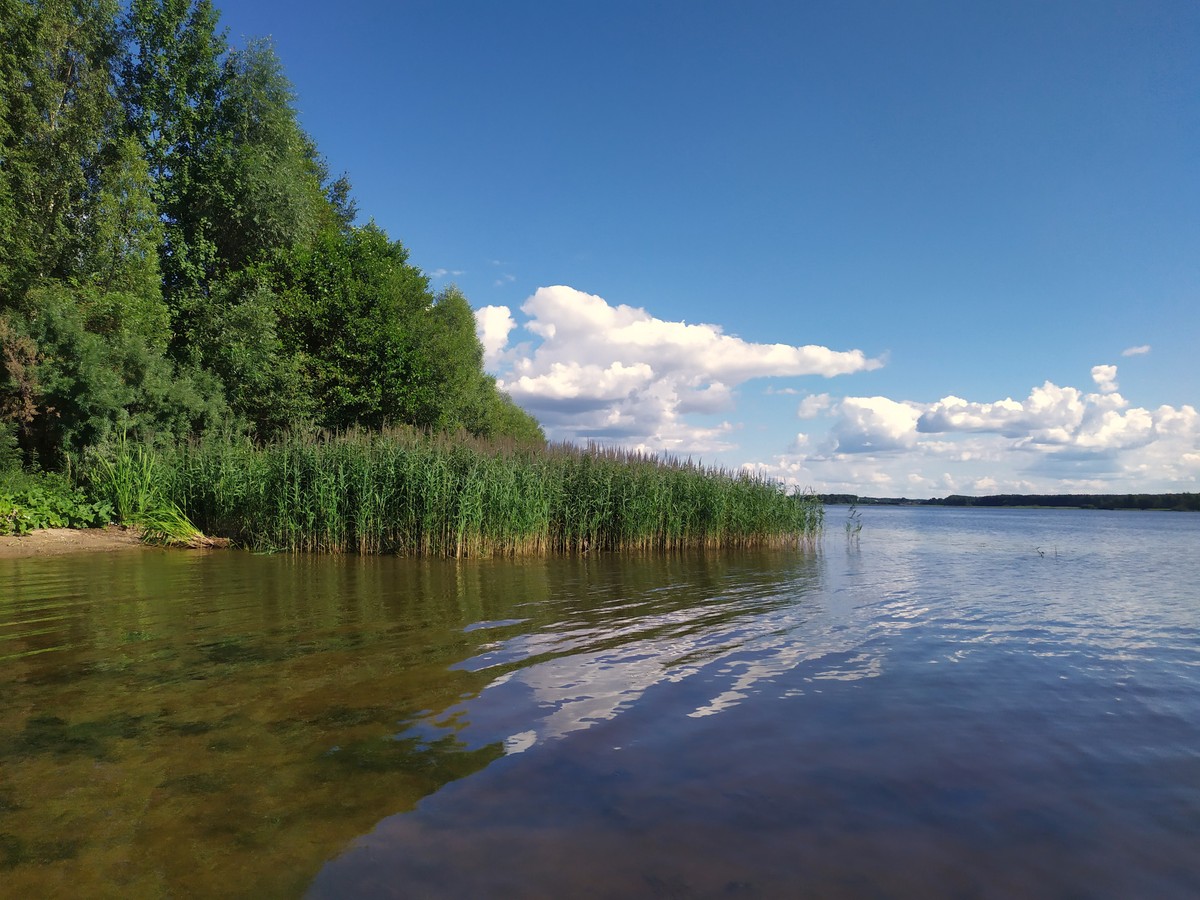 Главное изображение экскурсии - Раскинулось море широко: прогулка-рыбалка на катере по Костромскому морю
