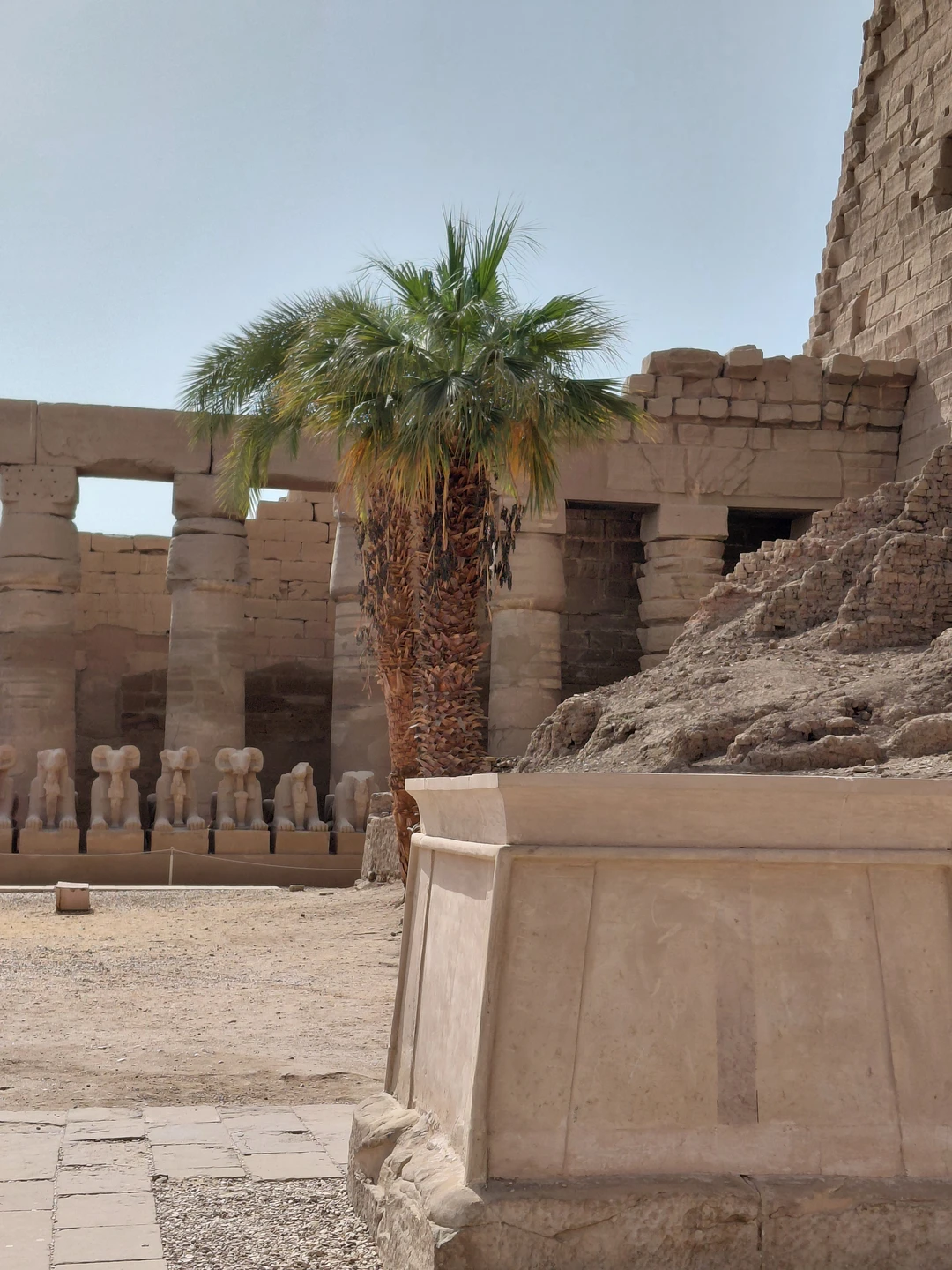 Замечательная поездка. Организована идеально, организатор Ахмед заранее информировал о всех деталях, вплоть до фото авто. Гид