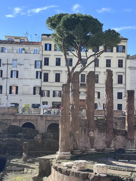 отличная экскурсия с Натали! узнали много для себя нового, хотя в Риме не в первый раз. Получили отличную прогулку с красивыми фото