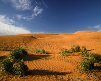 Музейные коллекции, приключение в «Чёрных землях»