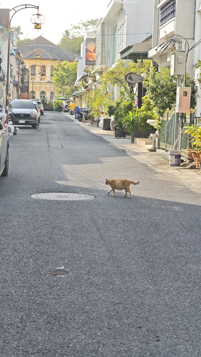 Брала экскурсию для мамы, сама была в Таиланде раз 5, но рассказчик из меня не очень:)