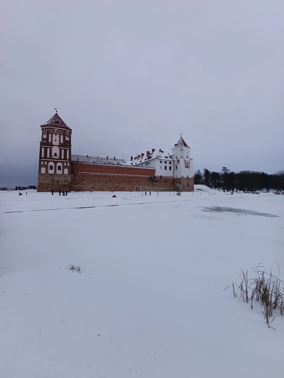 Трансфер из Минска или аэропорта в Несвижский и Мирский замки и обратно (Ирина)