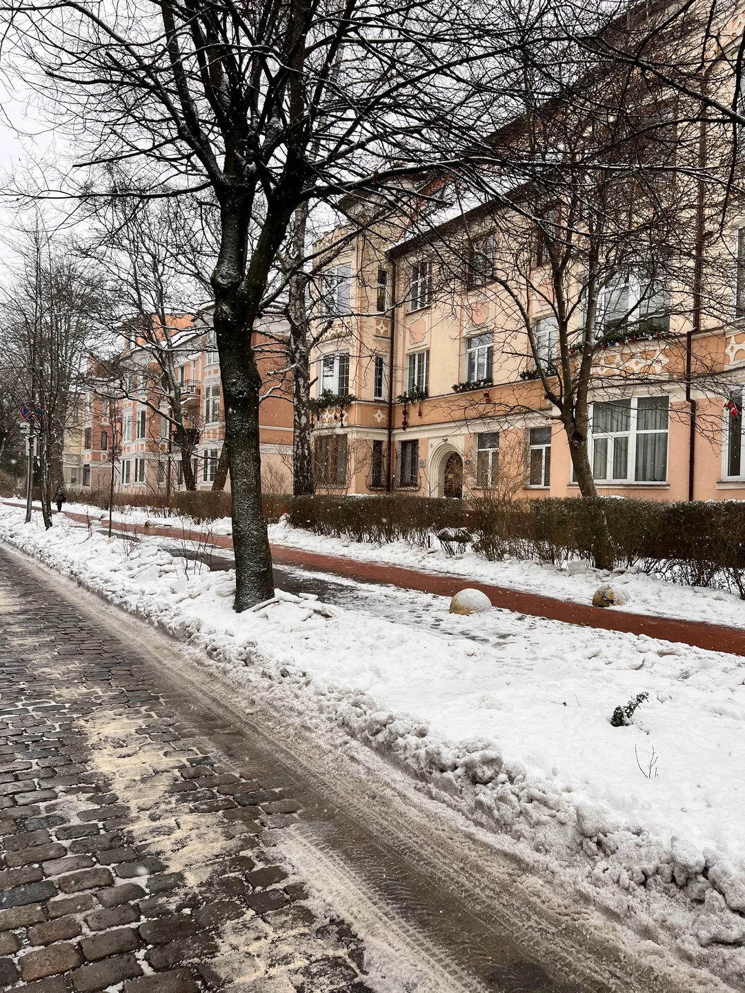 Затерянный уголок Пруссии: групповая прогулка по Амалиенау (Irina)