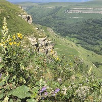Фото отзыва 2: экскурсия "Групповая конная прогулка над Берёзовским ущельем"