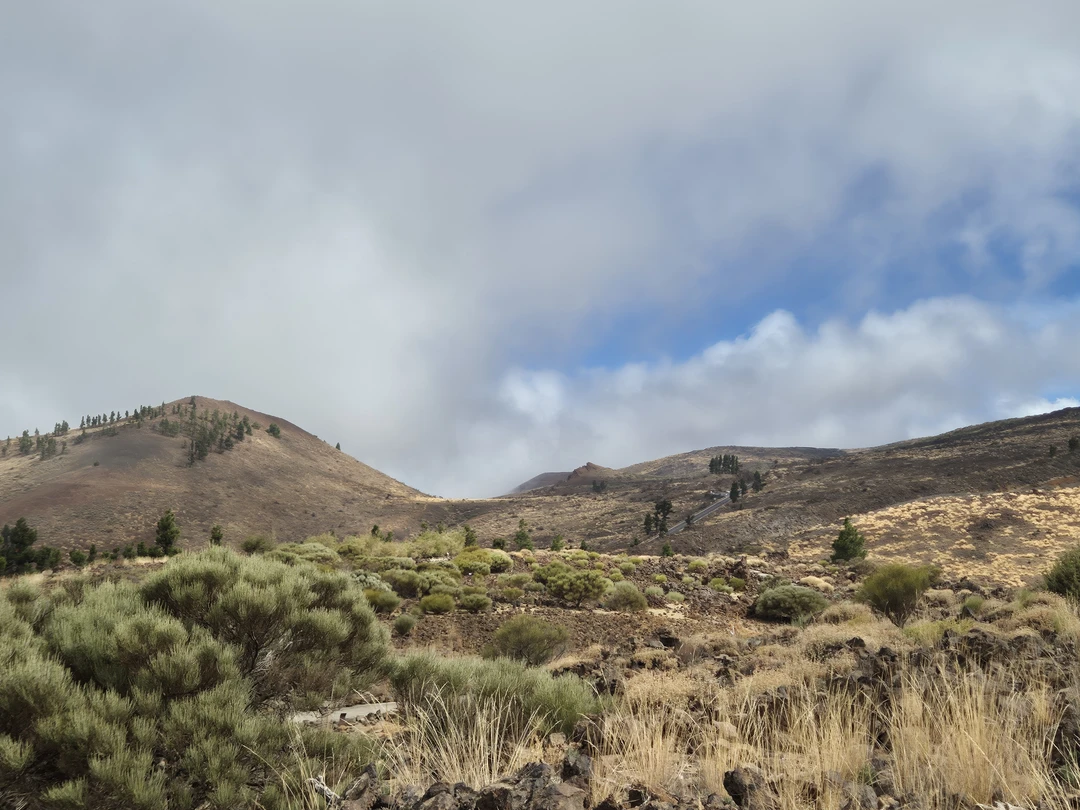 Всё было отлично. Нам понравилось