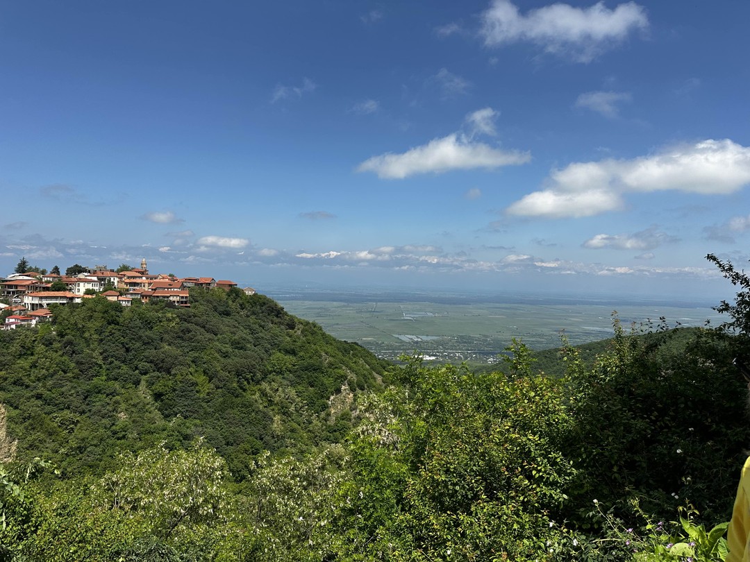 Кахетия - родина вина, чачи и красоты (Юрий)