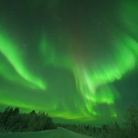 Фото отзыва 1: экскурсия "Северное сияние: чудо света в Мурманске"