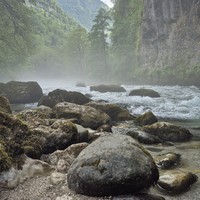 Фото отзыва 4: экскурсия "Душевное путешествие по Абхазии (из Гагры)"