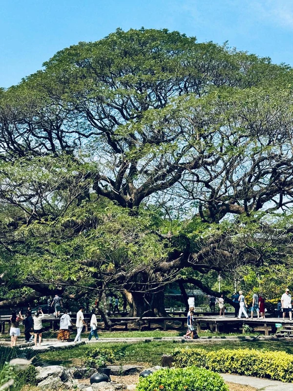 Целительная сила провинции Канчанабури: оздоровительный тур в мини-группе (всё включено)