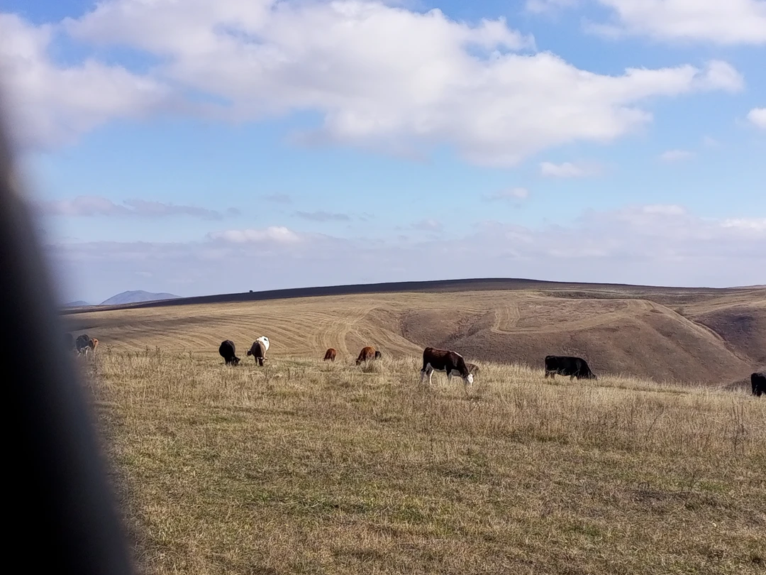 Дмитрий замечательный гид, который в свои поездки вкладывает всю душу. Маршрут авторский и самому такое никогда