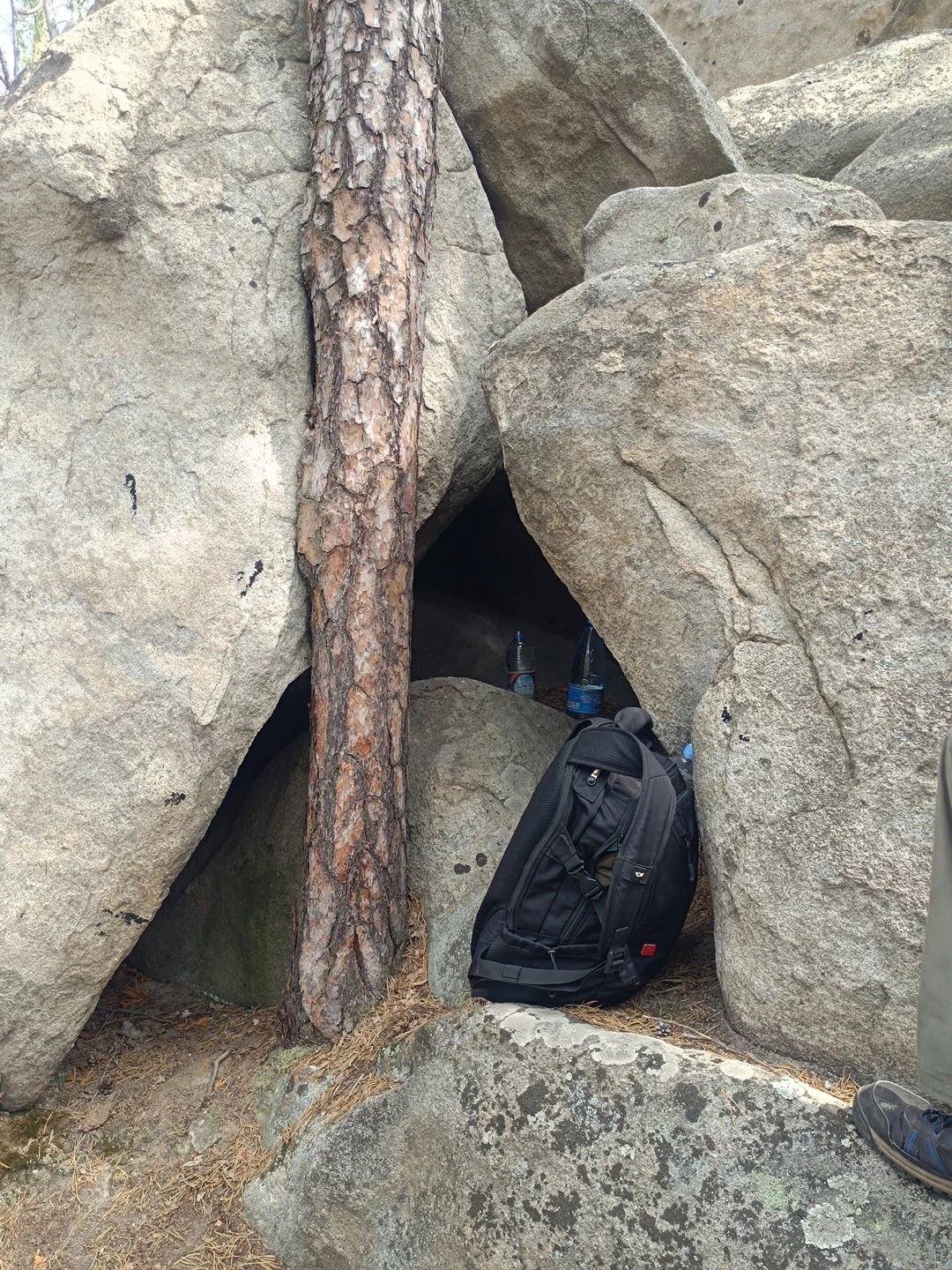 Были на экскурсии с Алексеем мы с мужем и сыном 16 лет. Каждому из нас было