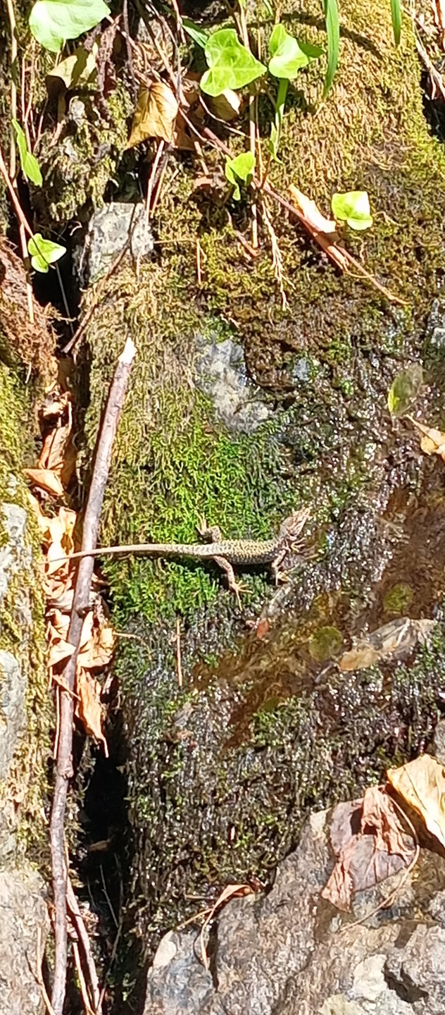 Поездка состоялась 06.09.25 всё прошло замечательно. Всё четко по расписанию: забрали по времени, прошли границу и