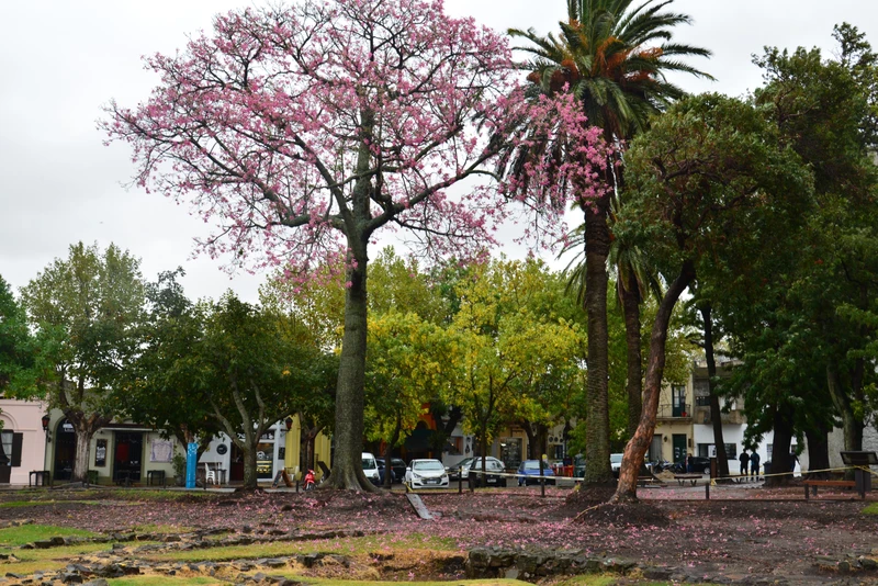 Фото к экскурсии Из Буэнос-Айреса в Уругвай: путешествие в 17 век