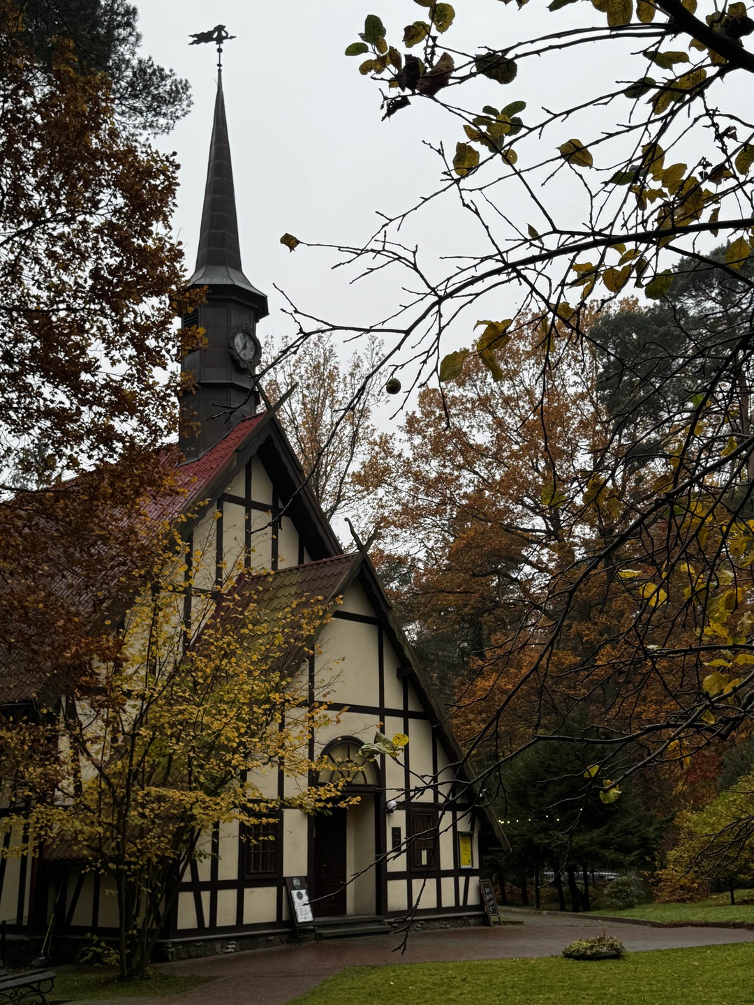 Приятная прогулка по осеннему Светлогорску, посетили самые знаковые места. Узнали о довоенной жизни города. Спасибо экскурсоводу Ксении!
