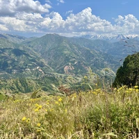 Фото отзыва 4: экскурсия "Из Ташкента — к величественным Чимганским горам!"