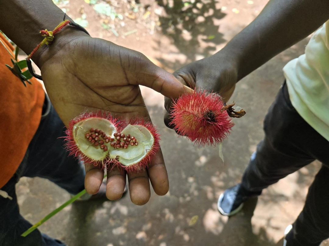 Отличная экскурсия! Познавательная, насыщенная, но при этом не утомительно! Рекомендую всем!