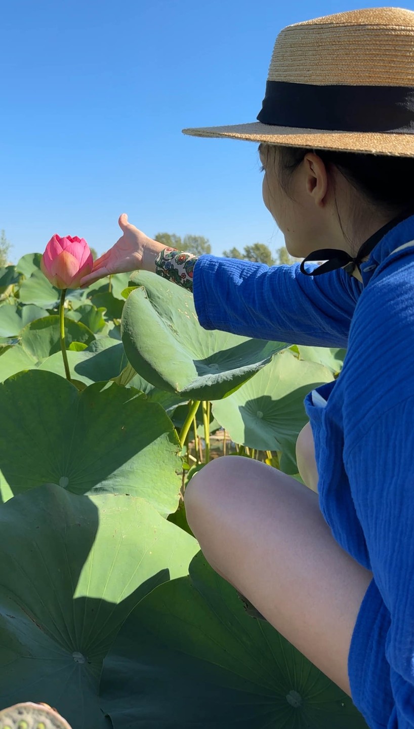 Понравилось на воде в жаркий день. Понравились лотосы. Понравился пляж. Понравился арбуз