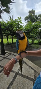 Фото отзыва 3: экскурсия "Обзорное путешествие по Бали"