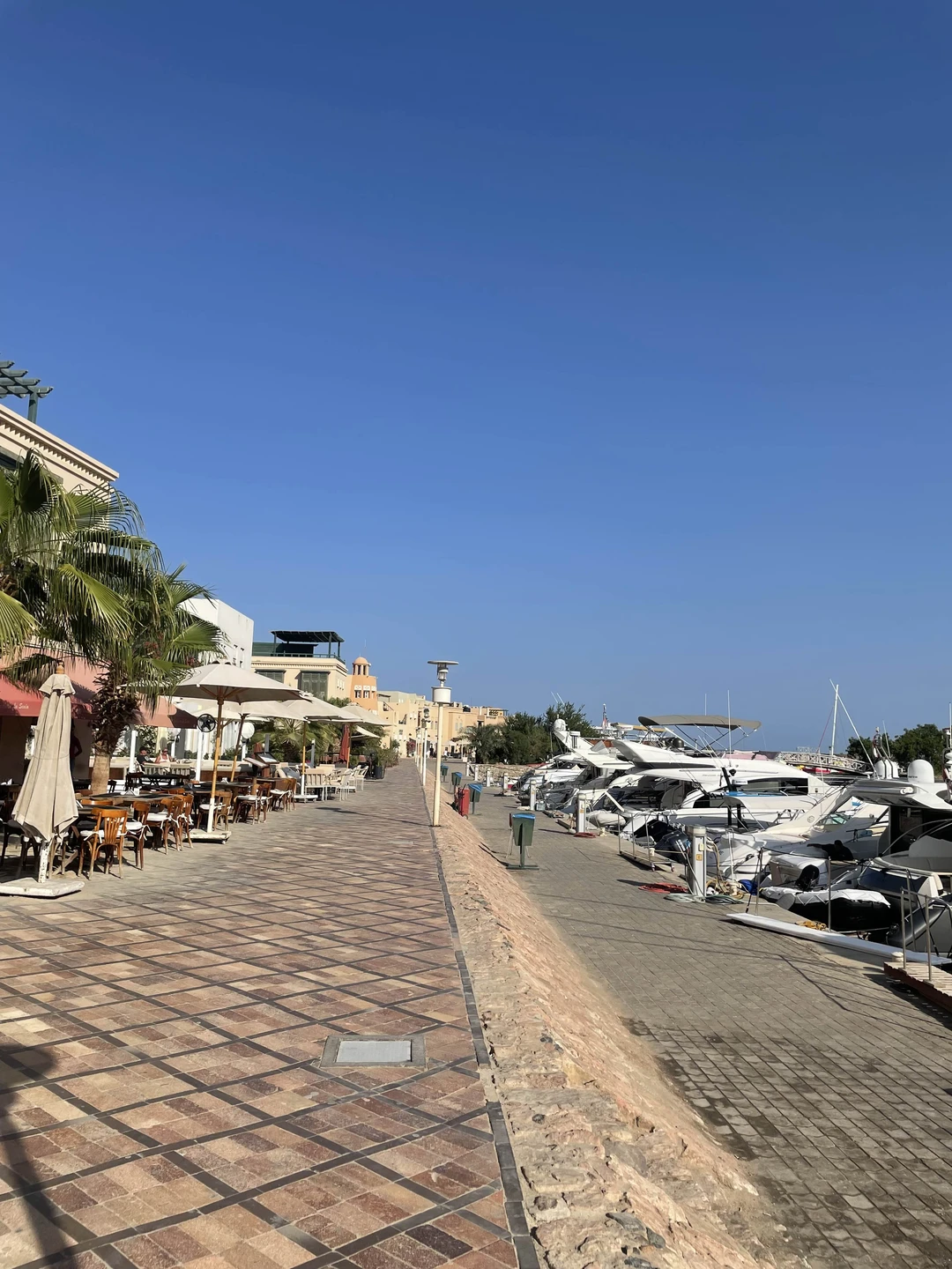 Большое спасибо Ваэлю и Екатерине за чудесную экскурсию по Эль Гуне. Это огромный рукотворный оазис на