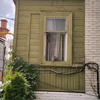Фото отзыва 3: экскурсия "Питер в Самаре — прогулка по парадным"