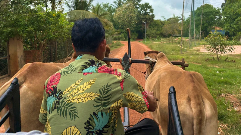 Погружение в настоящую Камбоджу