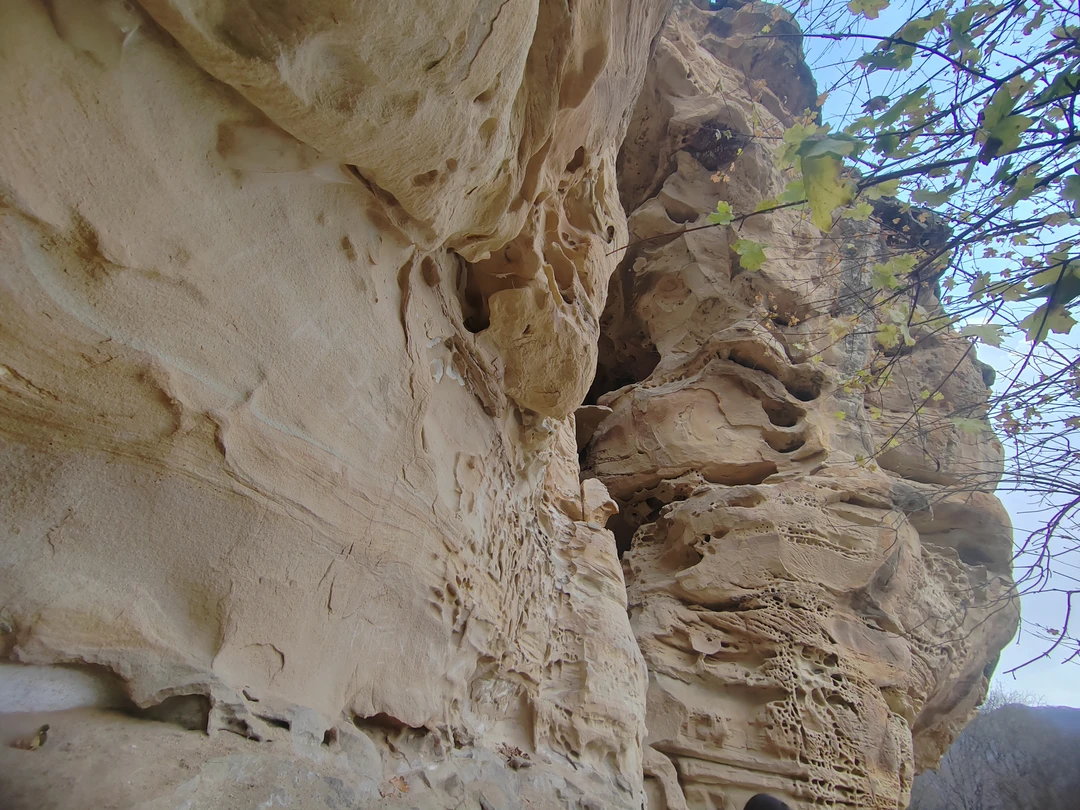 Одна из любимых экскурсий КМВ. Ездила не первый раз, каждая поездка - Восторг. Домбай красив в